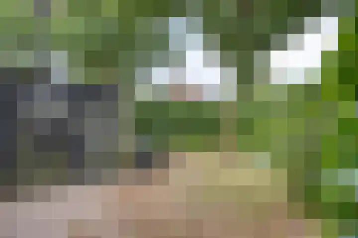 Paardenwei 53 Lunteren thumbnail 25