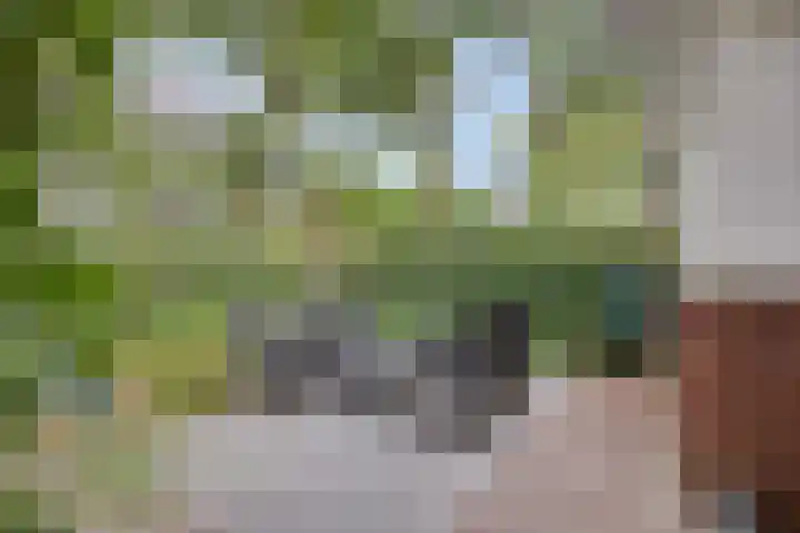 Paardenwei 53 Lunteren thumbnail 26