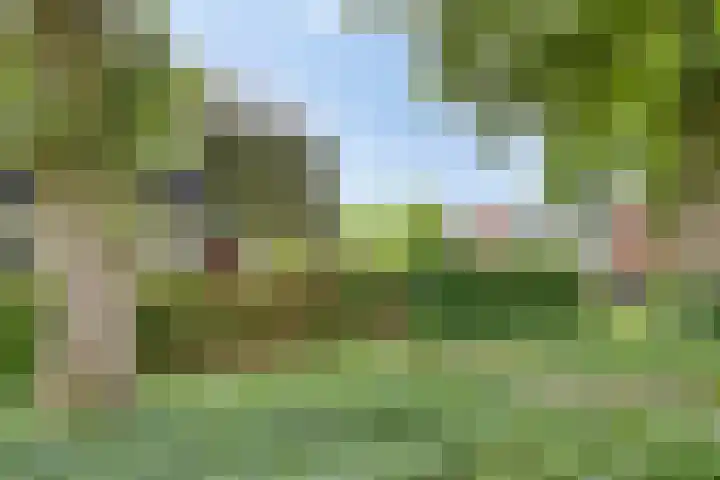 Paardenwei 53 Lunteren thumbnail 27