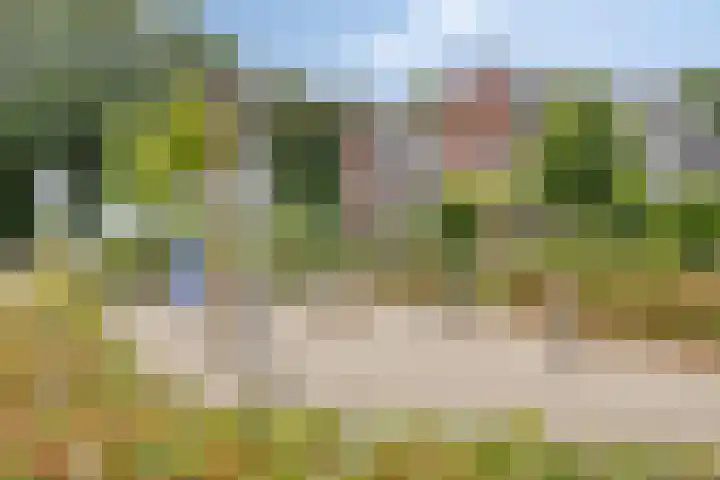 Paardenwei 53 Lunteren thumbnail 28