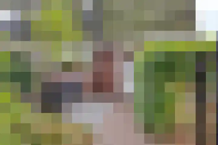 Paardenwei 53 Lunteren thumbnail 4