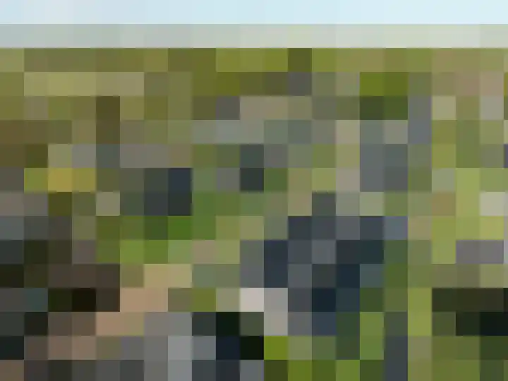 Paardenwei 8 Lunteren thumbnail 4
