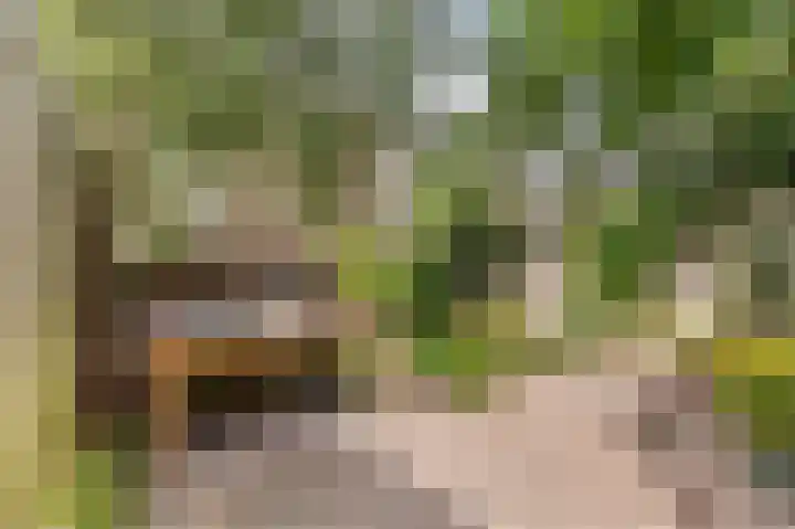 Paardenweide 108 Zwaag thumbnail 25