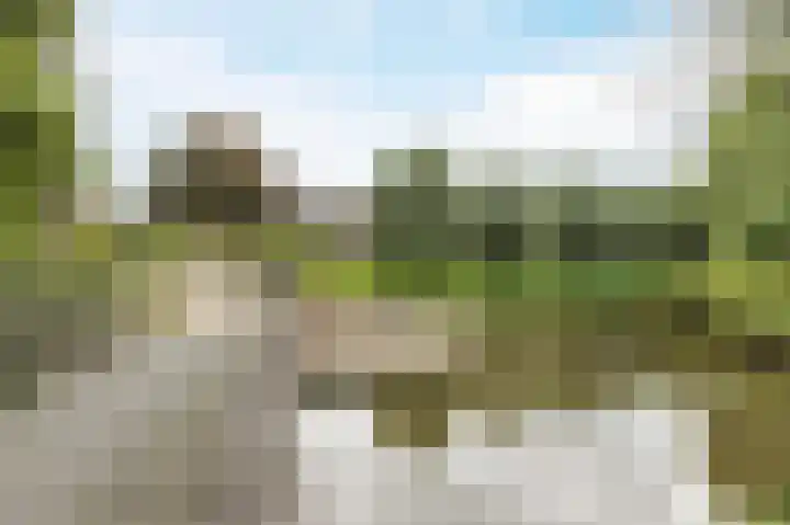 Paardenweide 108 Zwaag thumbnail 28