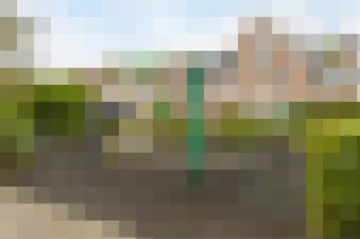 Paardenweide 108 Zwaag thumbnail 29