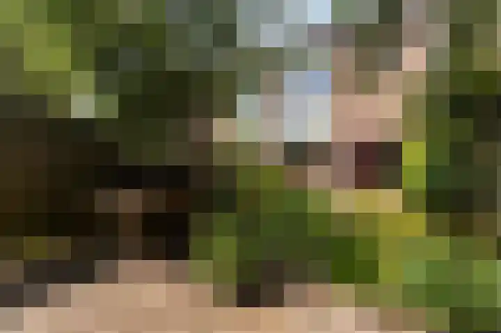 Paardenweide 108 Zwaag thumbnail 31