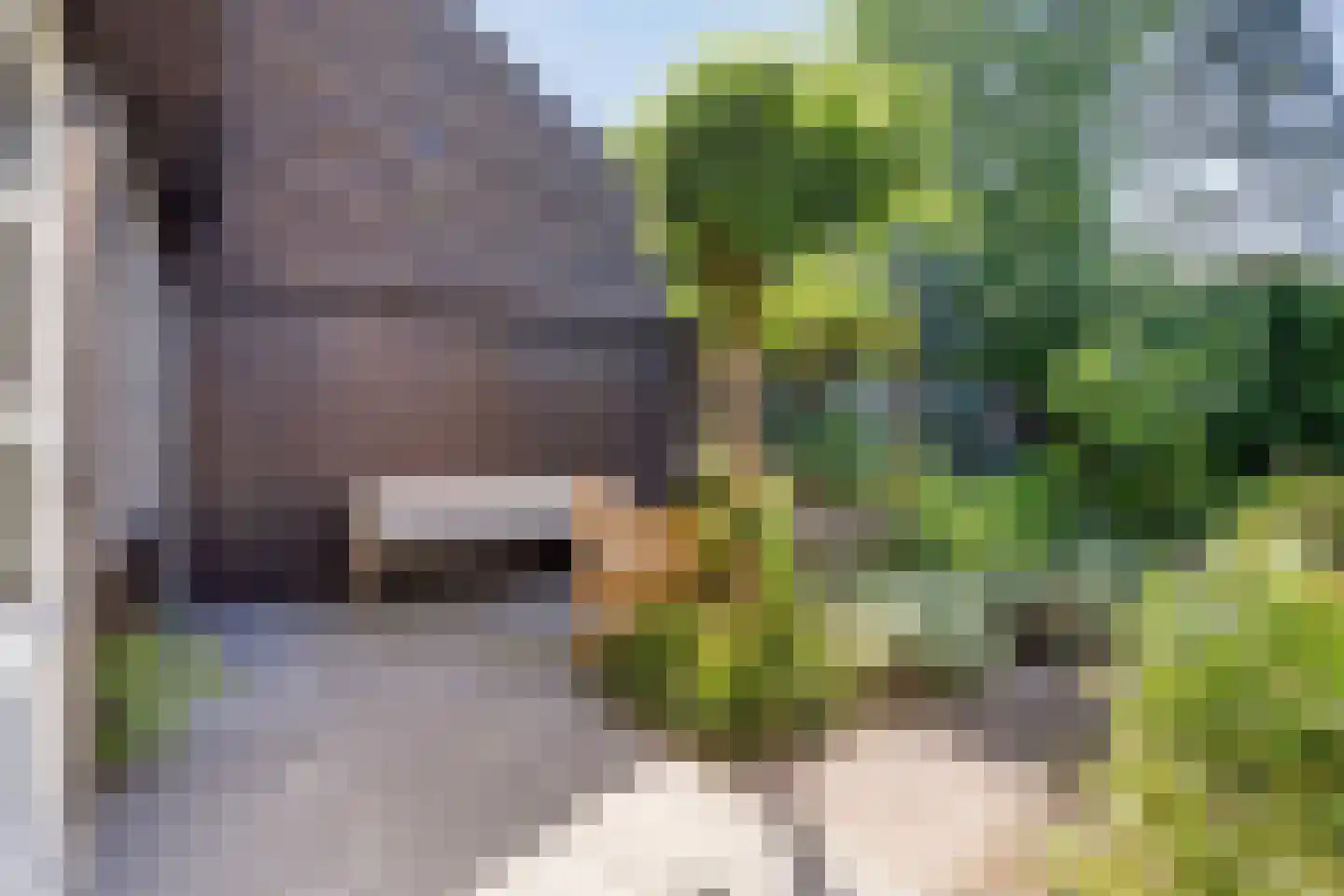 Paardenweide 165 Zwaag thumbnail 34