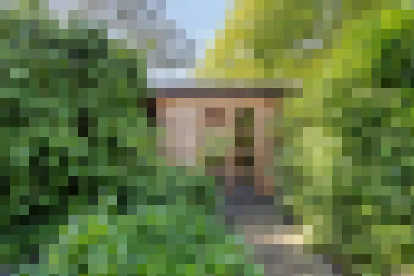 Paardenweide 165 Zwaag thumbnail 36