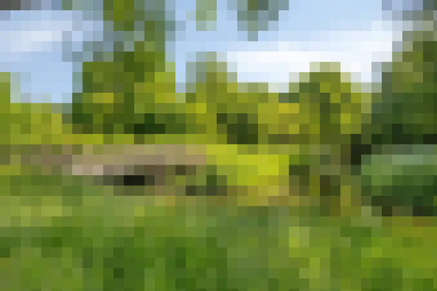 Paardenweide 165 Zwaag thumbnail 38
