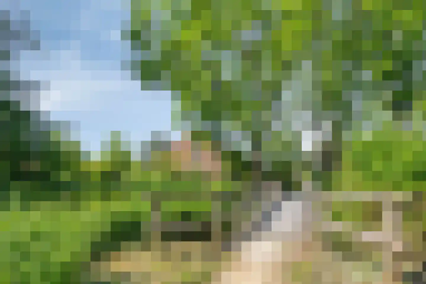 Paardenweide 165 Zwaag thumbnail 39