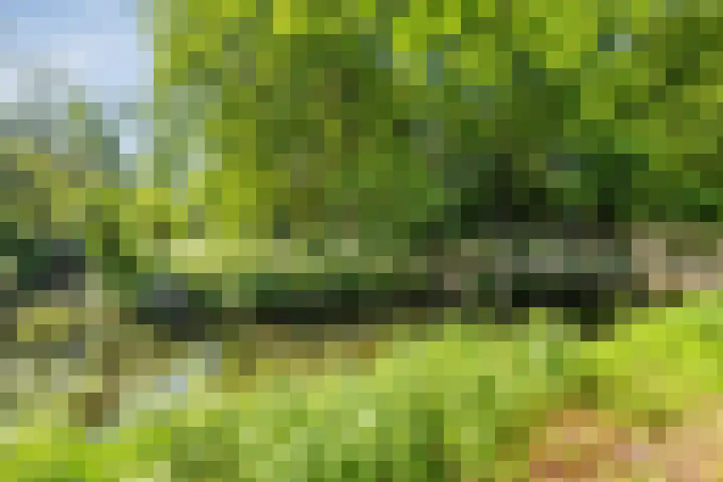 Paardenweide 165 Zwaag thumbnail 41