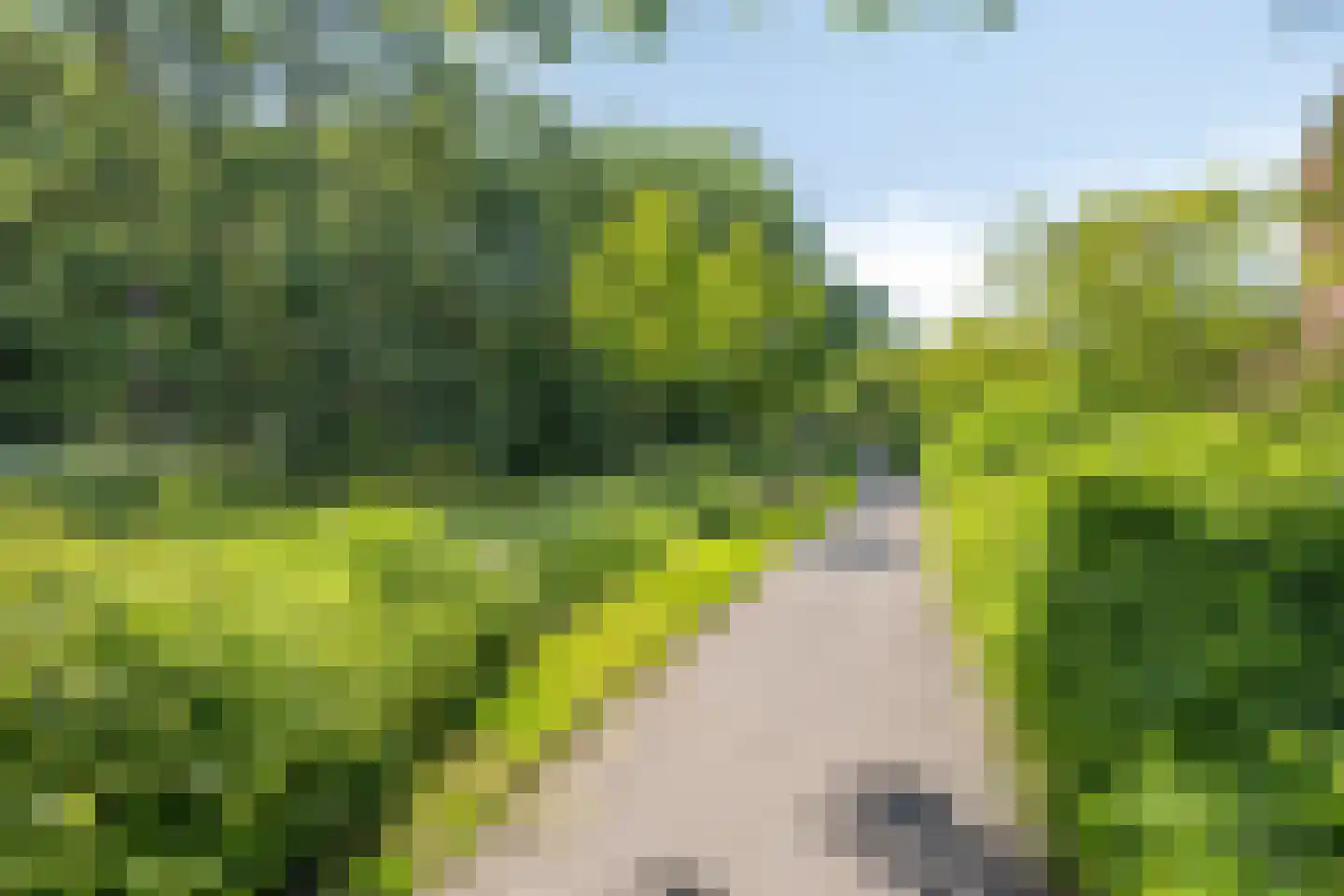 Paardenweide 165 Zwaag thumbnail 42