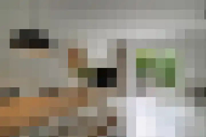 Paardenweide 181 Zwaag thumbnail 16