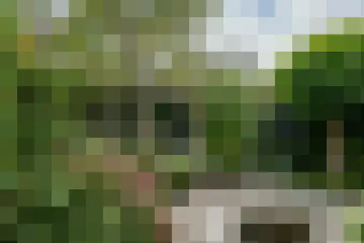 Paardenweide 181 Zwaag thumbnail 38