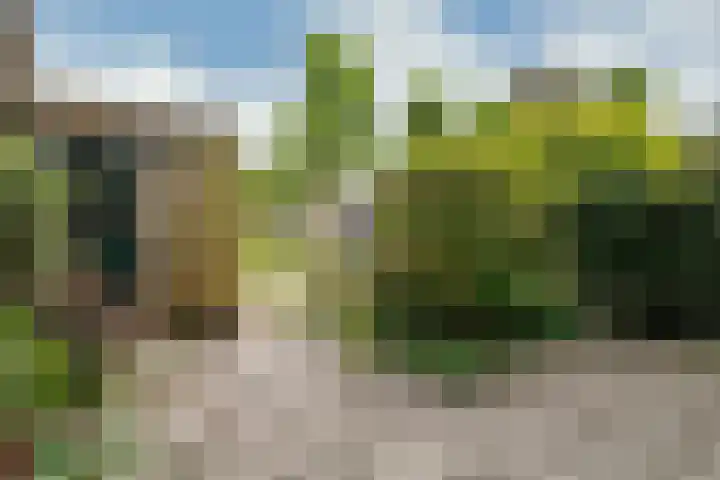 Paardenweide 181 Zwaag thumbnail 4