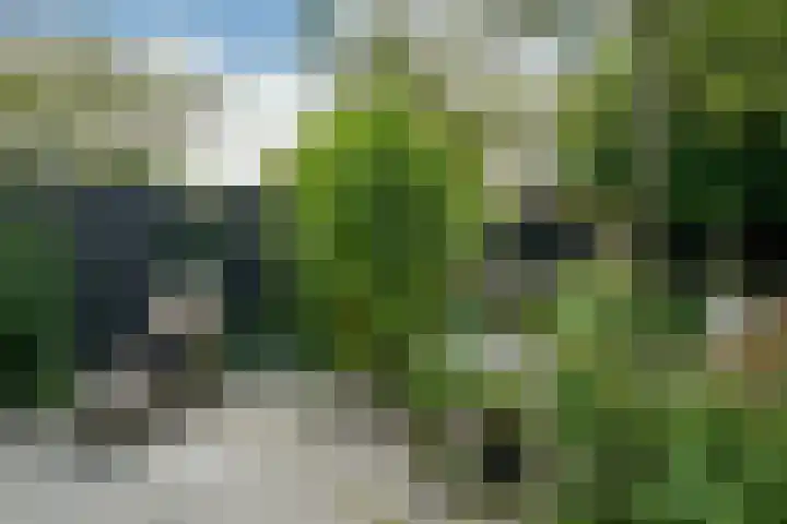 Paardenweide 181 Zwaag thumbnail 40
