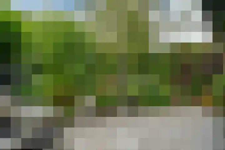 Paardenweide 181 Zwaag thumbnail 42