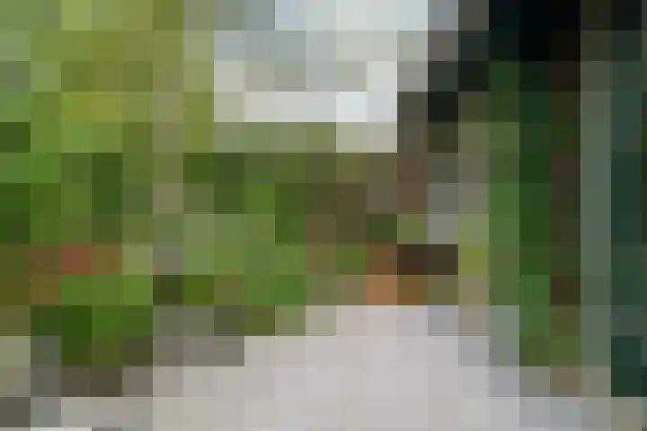 Paardenweide 181 Zwaag thumbnail 43