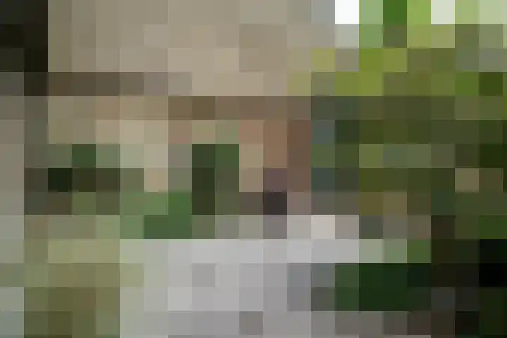 Paardenweide 181 Zwaag thumbnail 45