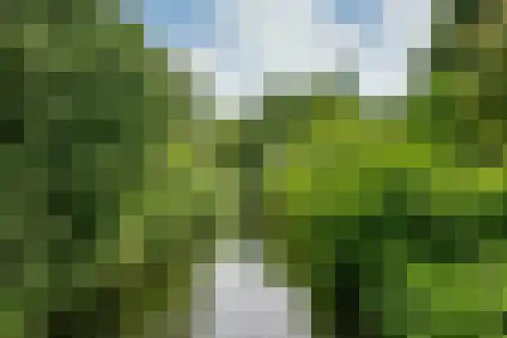 Paardenweide 181 Zwaag thumbnail 46