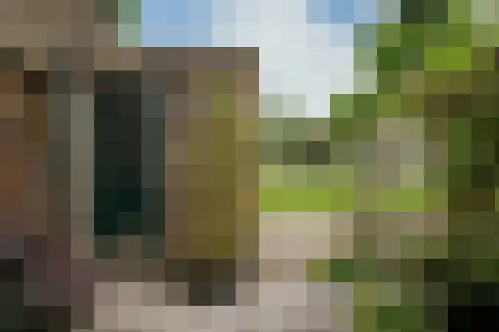 Paardenweide 181 Zwaag thumbnail 5