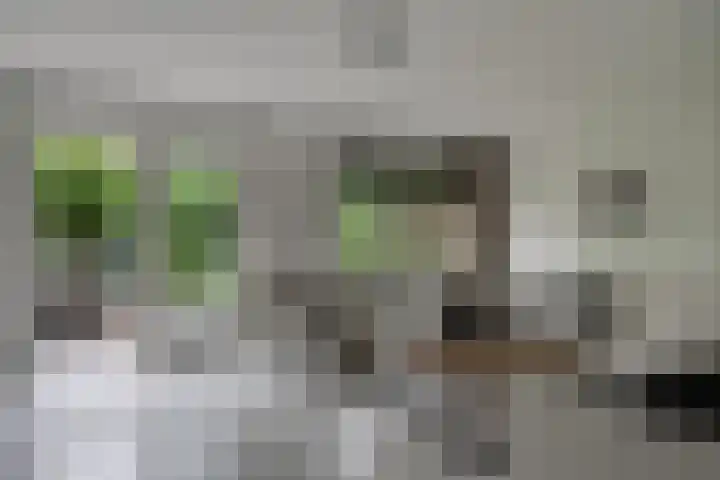 Paardenweide 181 Zwaag thumbnail 9
