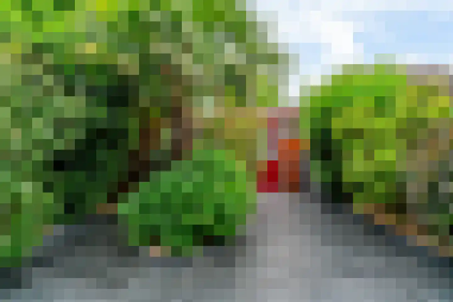 Paardenweide 202 Zwaag thumbnail 27