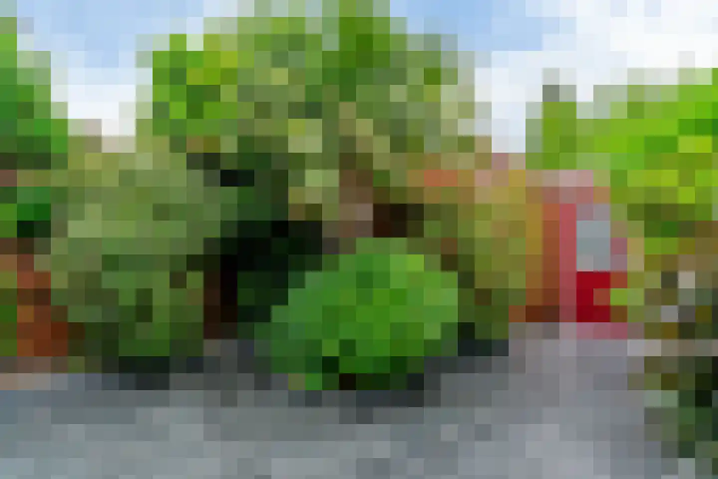 Paardenweide 202 Zwaag thumbnail 28