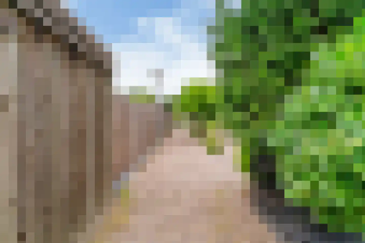 Paardenweide 202 Zwaag thumbnail 35