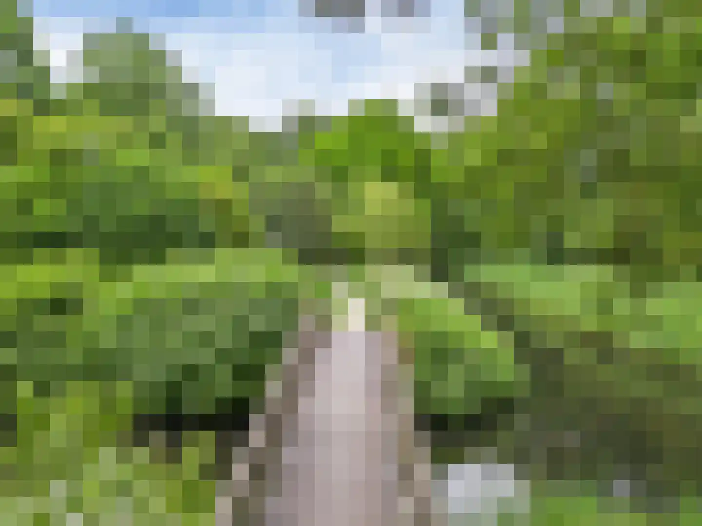 Paardenweide 202 Zwaag thumbnail 38