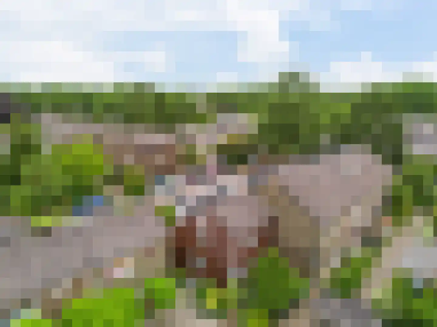 Paardenweide 202 Zwaag thumbnail 5