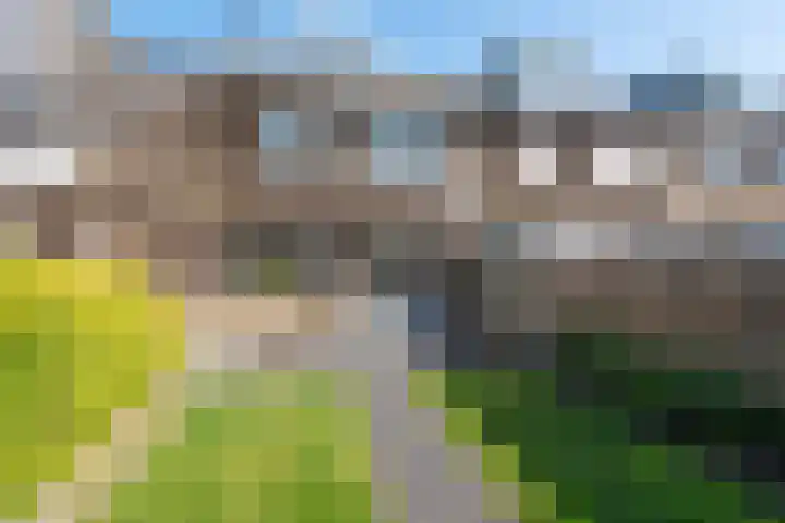 Paardenweide 207 Zwaag thumbnail 35