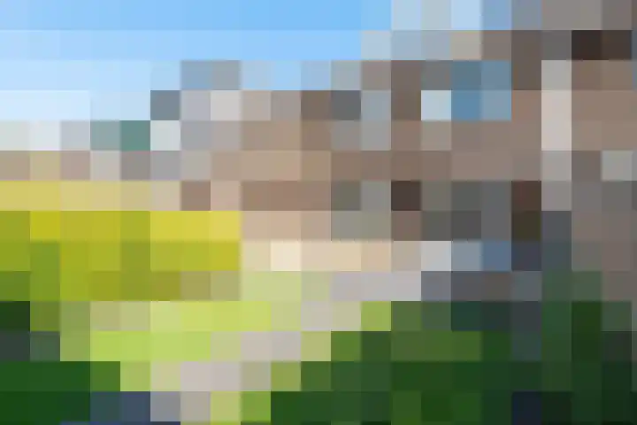Paardenweide 207 Zwaag thumbnail 36