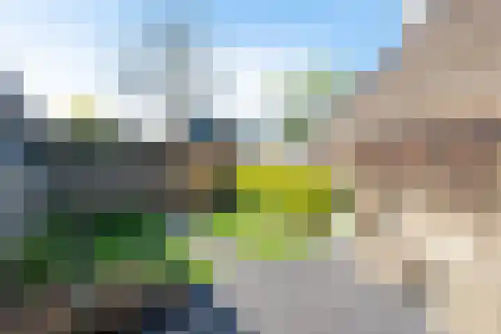 Paardenweide 207 Zwaag thumbnail 37