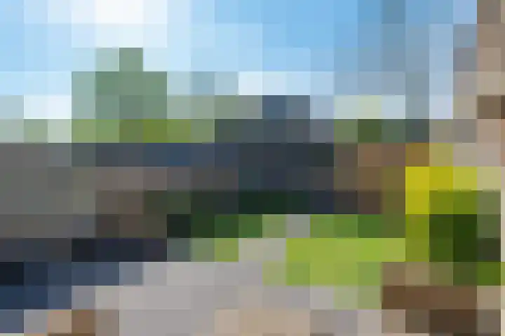 Paardenweide 207 Zwaag thumbnail 4