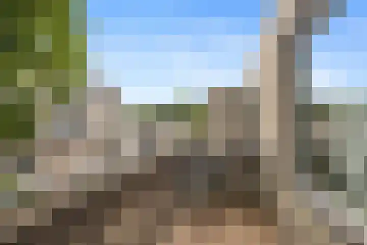 Paardenweide 34 Zwaag thumbnail 21