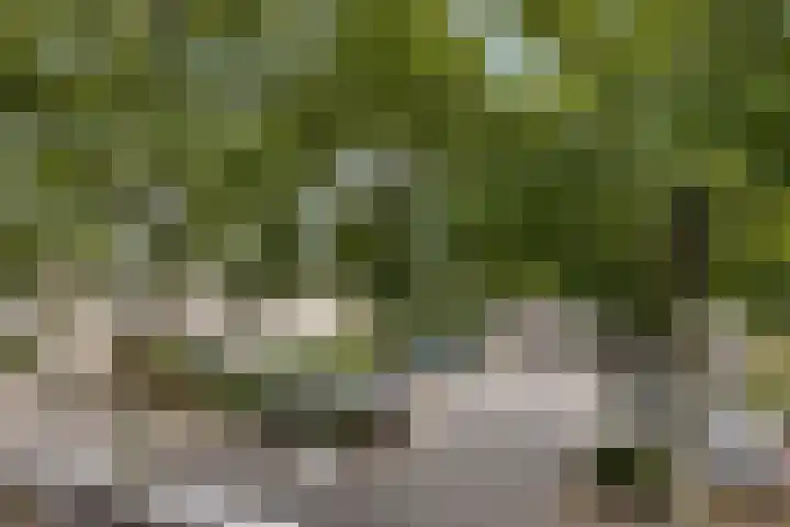 Paardenweide 34 Zwaag thumbnail 23