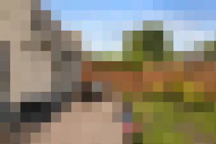 Paardenweide 34 Zwaag thumbnail 25