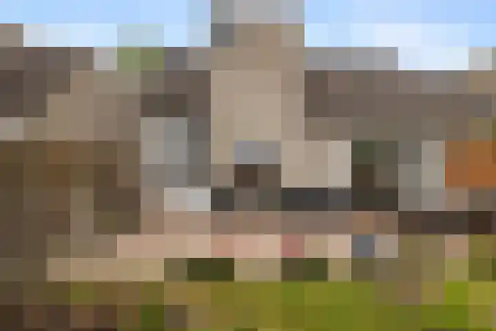 Paardenweide 34 Zwaag thumbnail 26