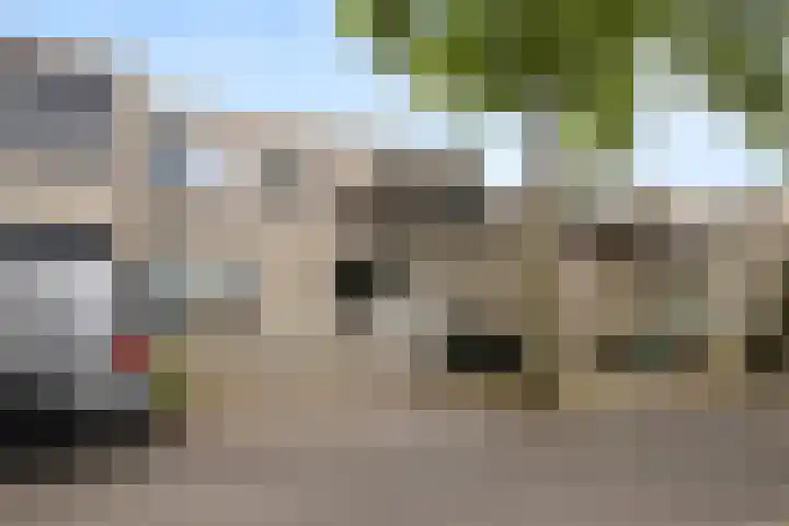Paardenweide 34 Zwaag thumbnail 27