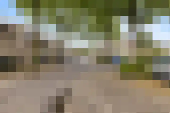 Paardenweide 34 Zwaag thumbnail 30