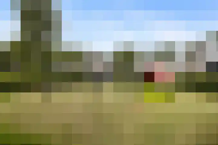 Paardenweide 34 Zwaag thumbnail 31