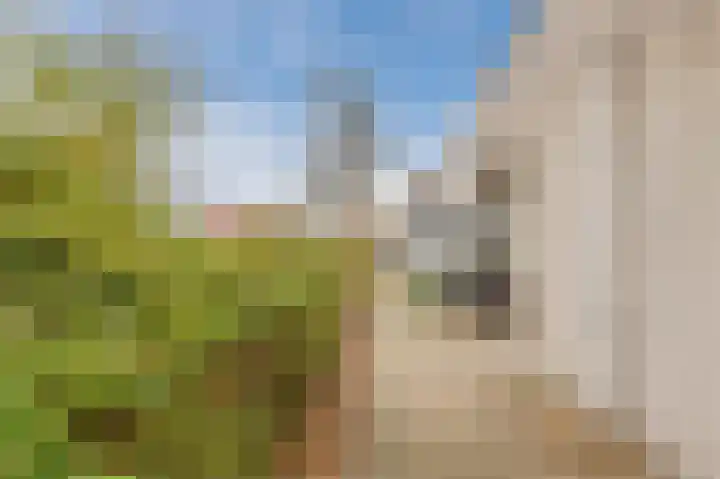 Paardenweide 48 Zwaag thumbnail 5