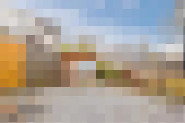 Paardenweide 48 Zwaag thumbnail 52