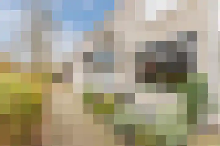 Paardenweide 48 Zwaag thumbnail 6