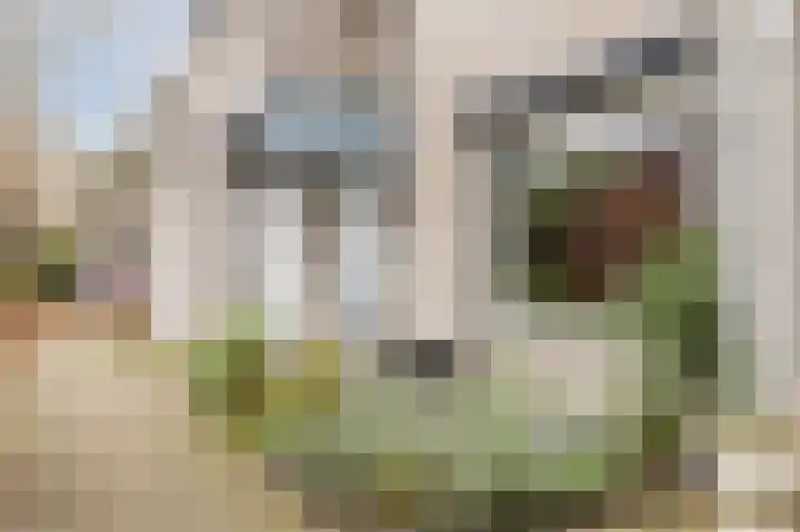 Paardenweide 48 Zwaag thumbnail 7