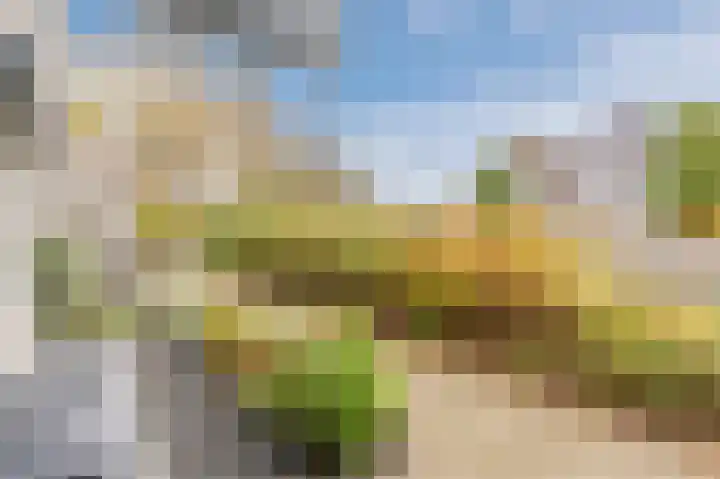 Paardenweide 48 Zwaag thumbnail 8