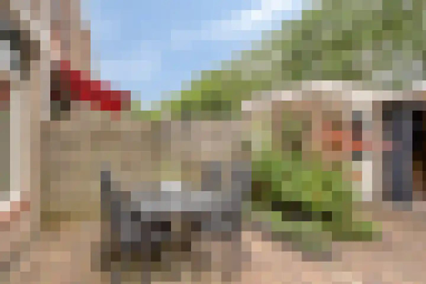 Paardenweide 76 Zwaag thumbnail 34