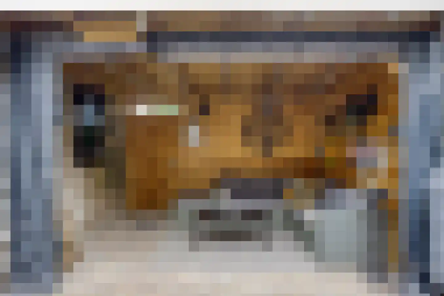 Paardenweide 76 Zwaag thumbnail 36
