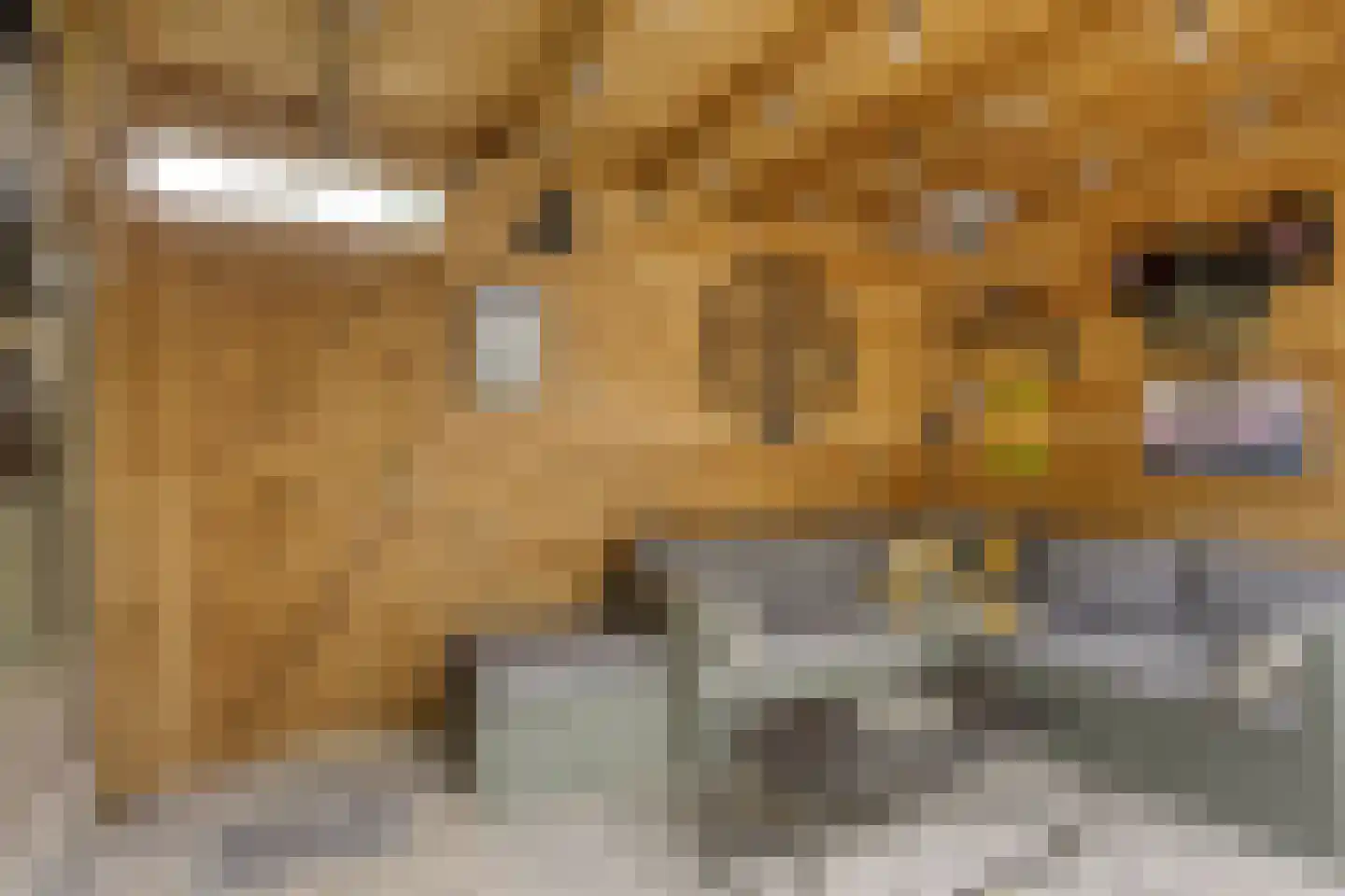 Paardenweide 76 Zwaag thumbnail 37